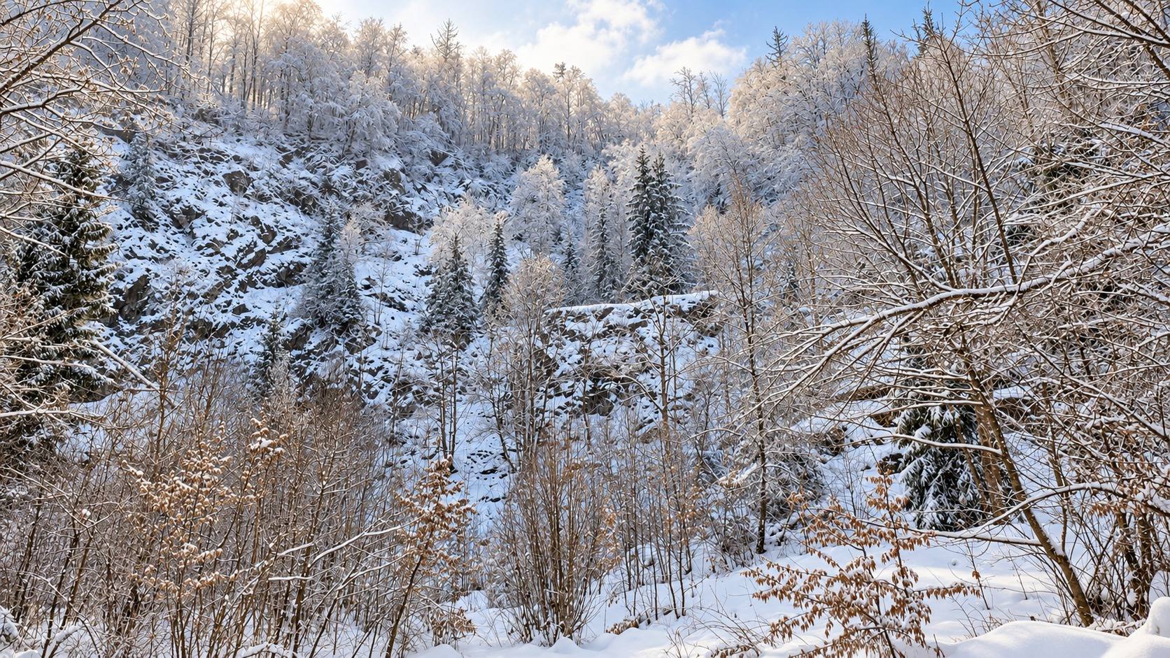 Winterliche Felsen und Wald im Bodetal