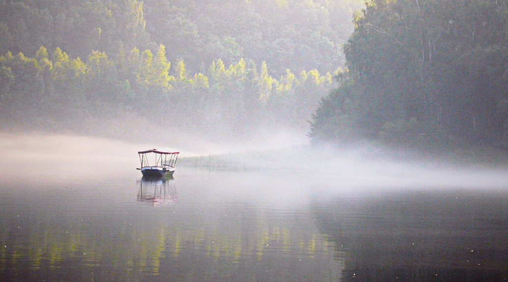 Boot auf der Wendefurther Talsperre im Harz